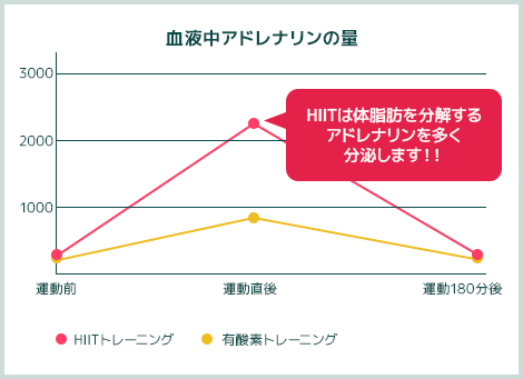 血液中アドレナリンの量